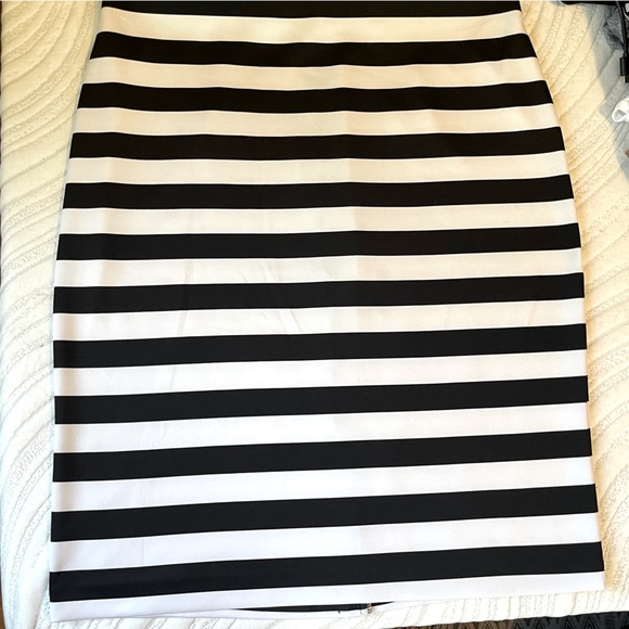 Striped Pencil Skirt - Picture 1 of 4